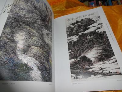 【图】第三届中国美术家协会会员中国画精品展作品集 (8开 函盒硬精装 06年一版一印 335页)_价格:180.00_网上书店网站_孔夫子旧书网