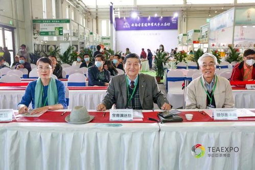 茗星之战,谁将c位出道 茗星茶艺师内蒙古分赛区决赛结果揭晓